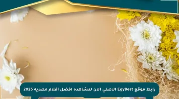رابط موقع EgyBest الأصلي الآن لمشاهدة أفضل أفلام مصرية 2025